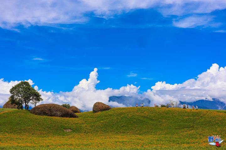 2023赤柯山金針花海必拍推薦8大景點 @Ya!Travel 野旅行新聞網