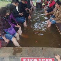 素食主義者團體旅遊