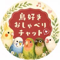 鳥好きおしゃべりチャット🐤