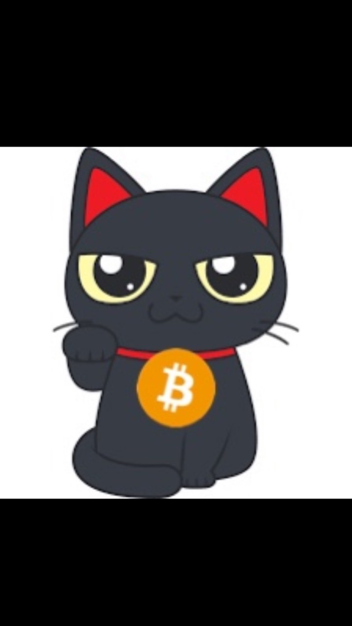 OpenChat もちねこの仮想通貨案内所🔰初心者歓迎🐱✨