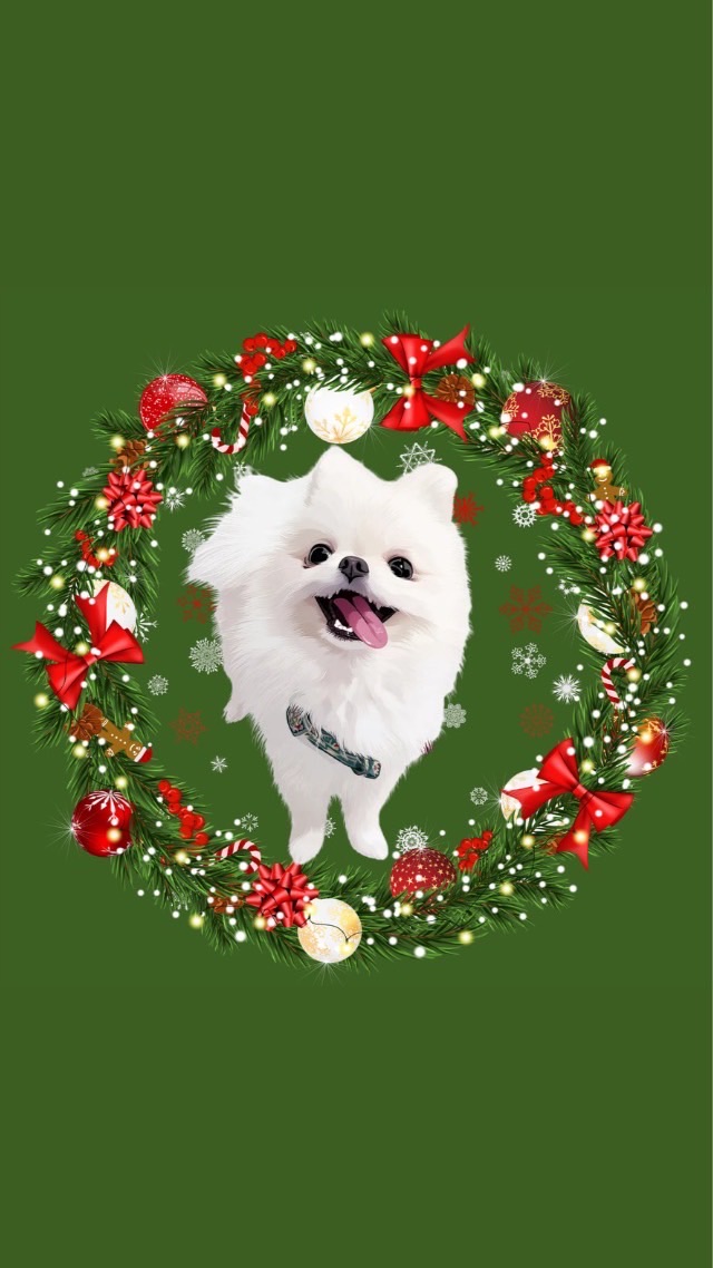 毛孩麻豆出任務｜果果老闆試吃團購