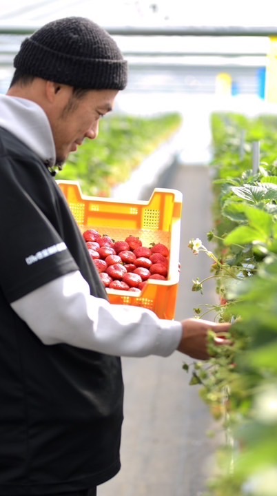 【真のいちご🍓】専用オープンチャット🏀