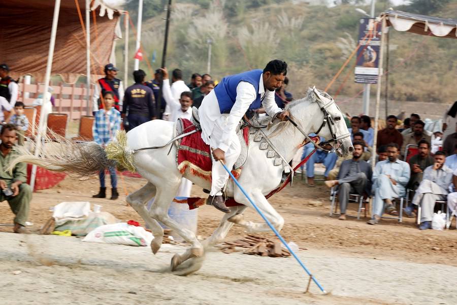 Asia Album Glimpse of tent pegging in Pakistan's Rawalpindi XINHUA