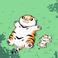 🐯🐯