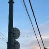 自由だぁぁ！