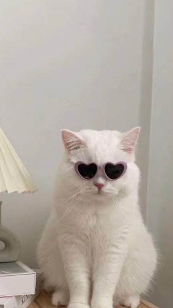 人気の人集まれ〜