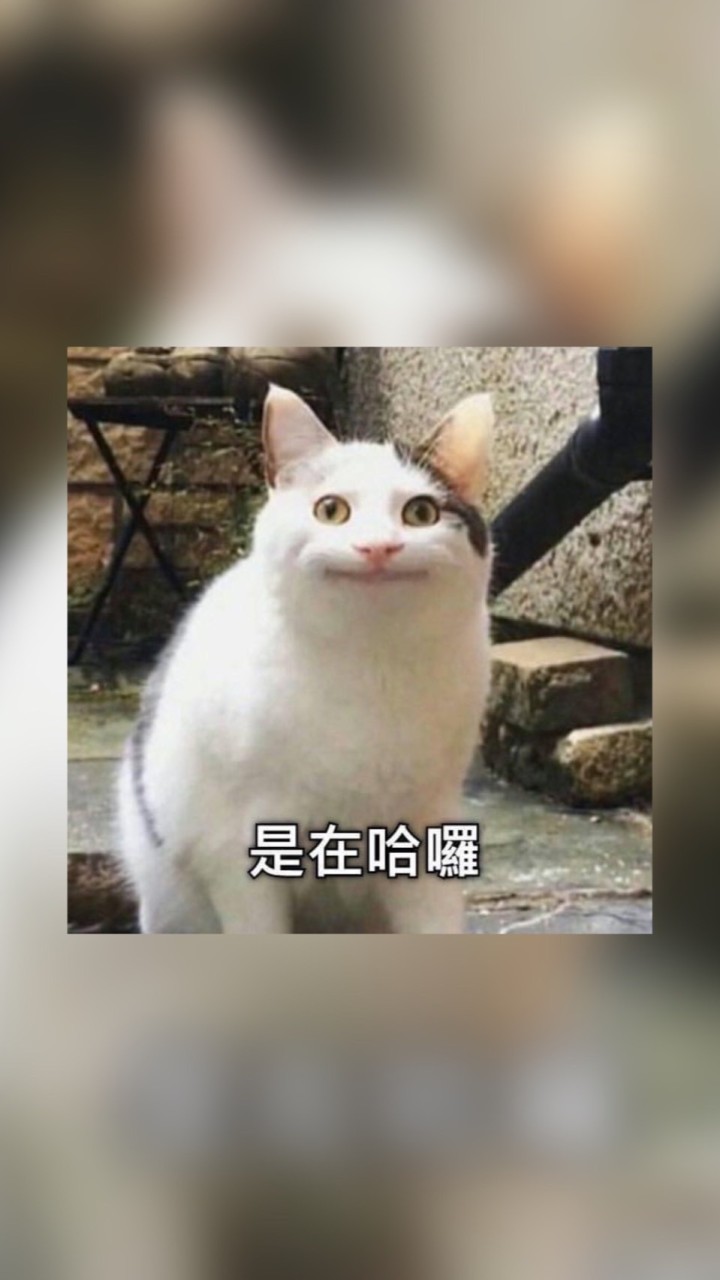 靠北長官4.0