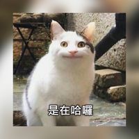 靠北長官4.0