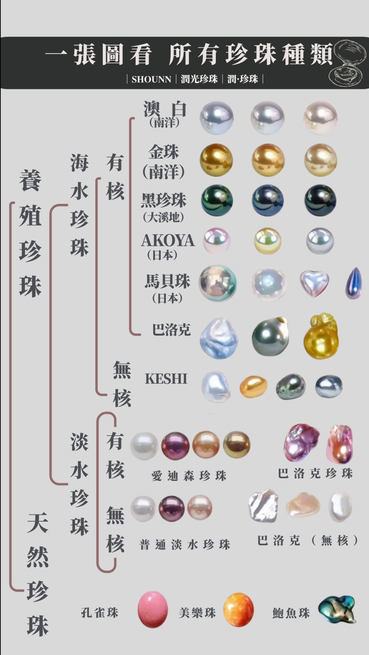 《 SHOUNN.潤光珍珠的購物團 1 》
