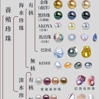《 SHOUNN.潤光珍珠的購物團 1 》