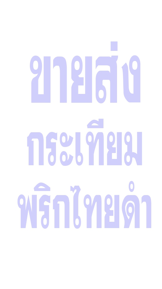 กระเทียมพริกไทยราคาส่งจากโรงงานผลิต
