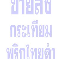 กระเทียมพริกไทยราคาส่งจากโรงงานผลิต
