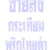 กระเทียมพริกไทยราคาส่งจากโรงงานผลิต