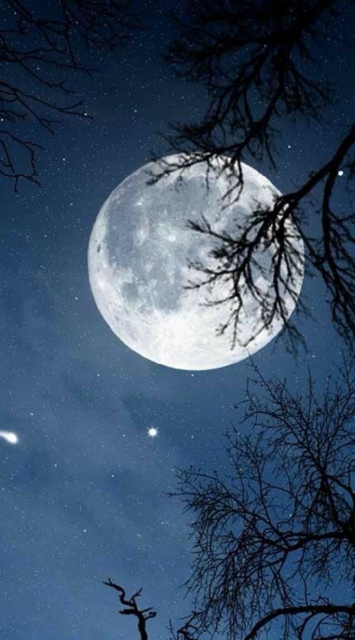 คลังเพลง