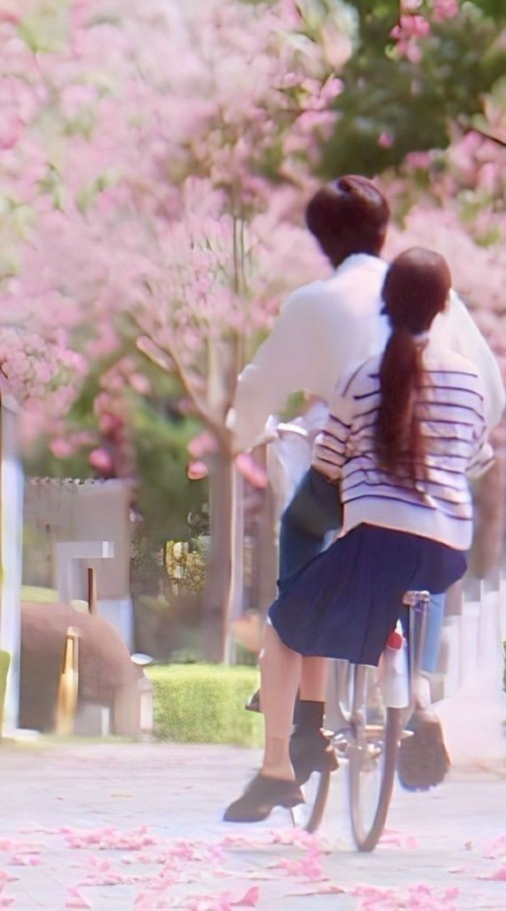 芸能人  ❤︎  也  。
