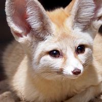 3年地球組🐾໊