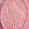 PPsoap手創館