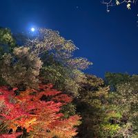おすすめを分かち合いたい(一宮岐阜大垣名古屋周辺)