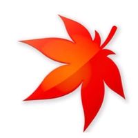 彼岸花開🌺