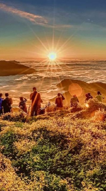 大崙山SNG出景情報