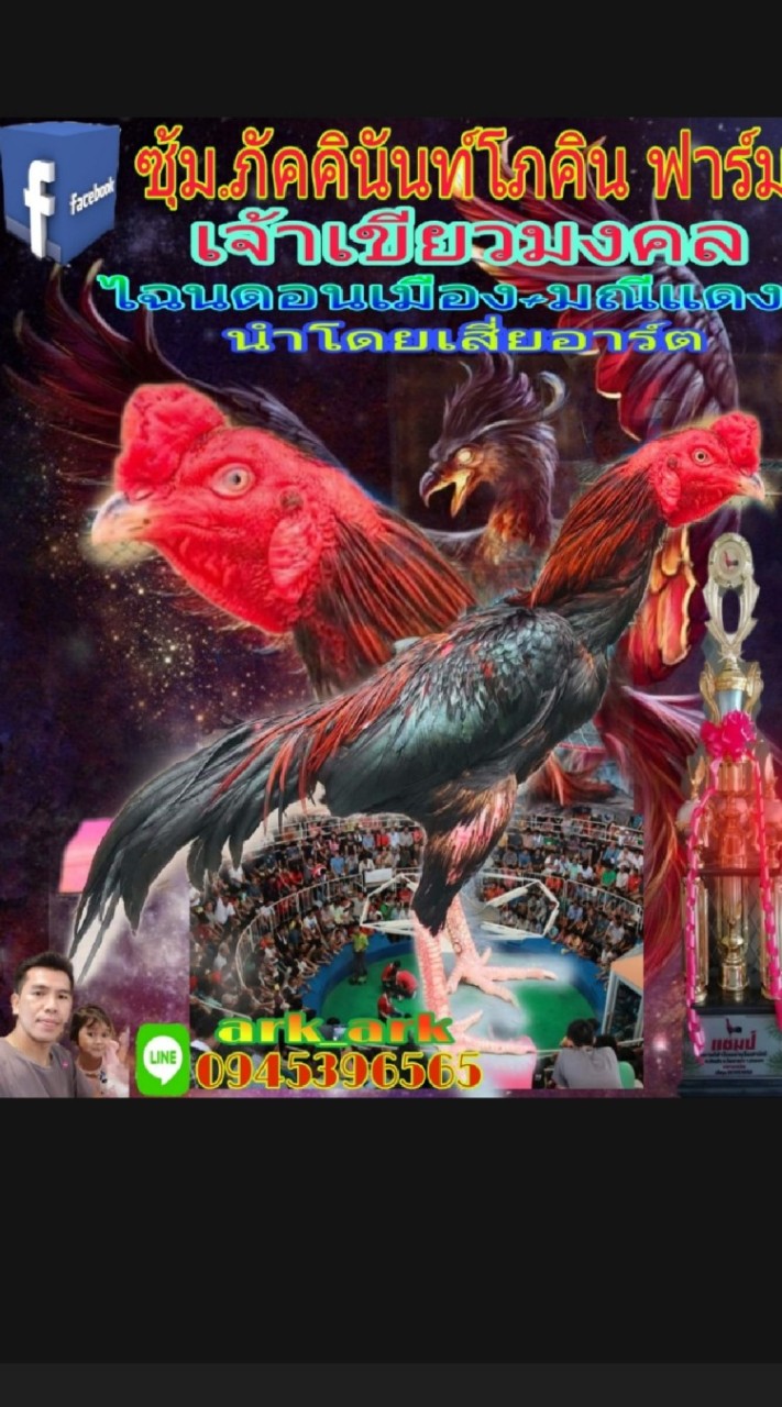 ซุ้ม ภัคคินันท์โภคิน.ฟาร์ม ก๋อยไอคิว