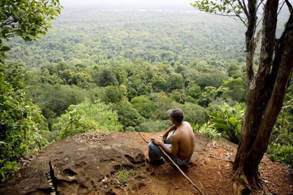 8 Fakta Unik Tentang Hutan Amazon Hadiah Liburan Tamu Oscar 2019