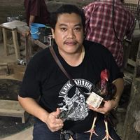 เป้ ไก่ชนซุ้มหอศาล(ลำปาง)