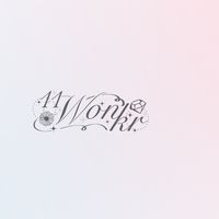 11wonkrꔛ代購
