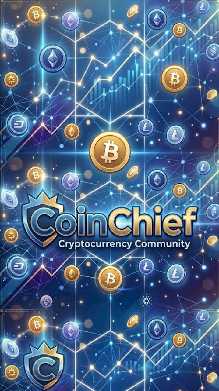 9D CoinChief P Spring team