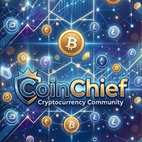 9D CoinChief P Spring team