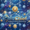 9D CoinChief P Spring team