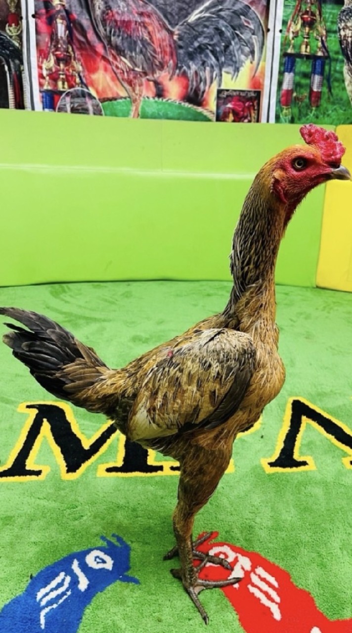 อรรถพร ฟาร์ม กลุ่ม.1