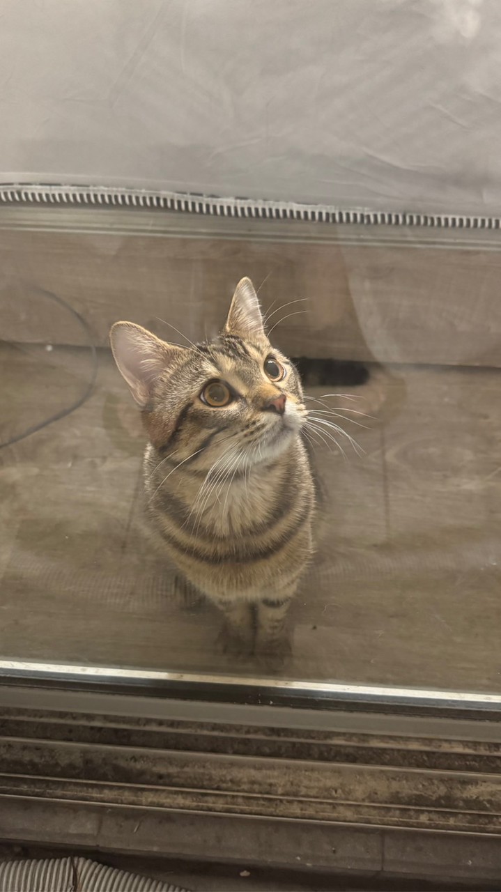 郝響看看腿