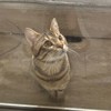 郝響看看腿