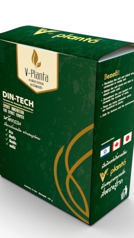 V planta LV.1