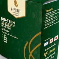 V planta LV.1