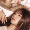 ❣️IRENE & SEULGI 台北捷運燈箱應援募資