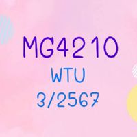MG4210 3/2567
