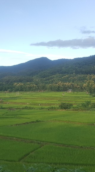 ท่องเที่ยวทั่วไทย