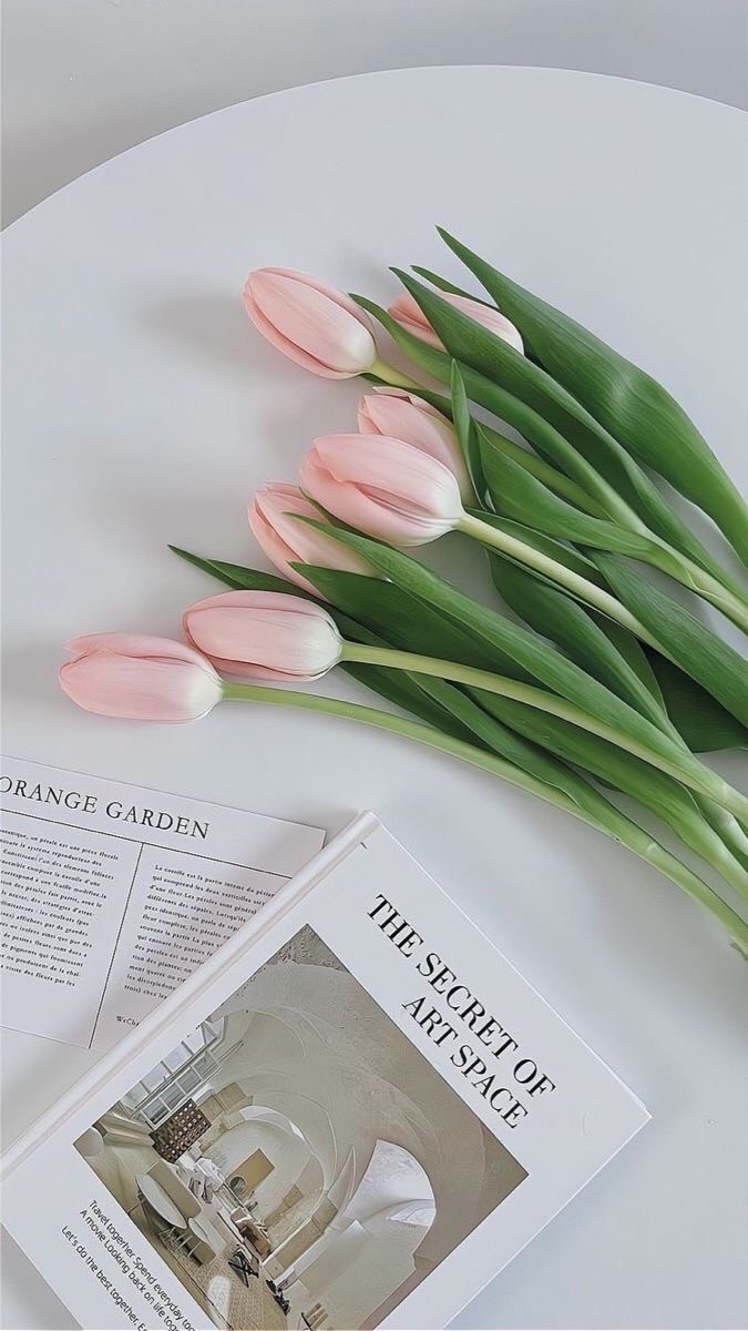 ร้านนัทเองค้าบ🌷