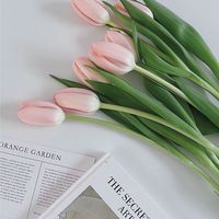 ร้านนัทเองค้าบ🌷