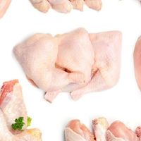 台G殿 #生鮮雞肉#海鮮肉品 零售批發