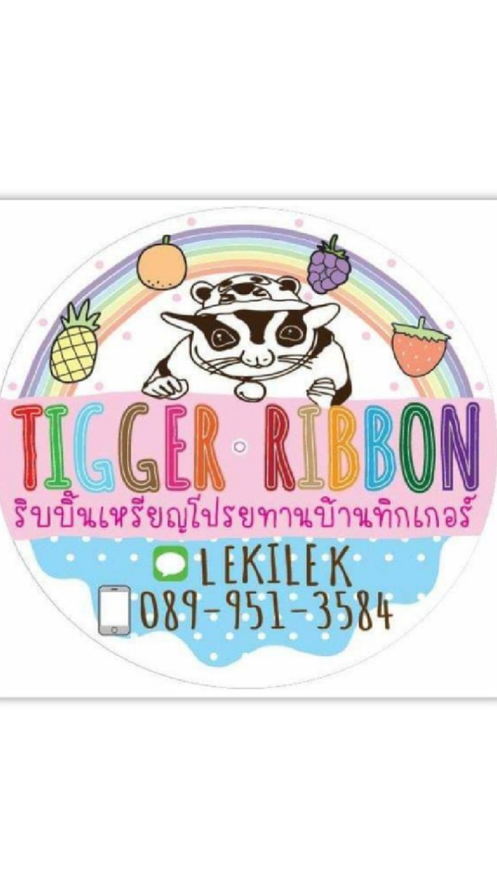 ริบบิ้นเหรียญโปรยทานบ้านทิกเกอร์-Tiggerribbon