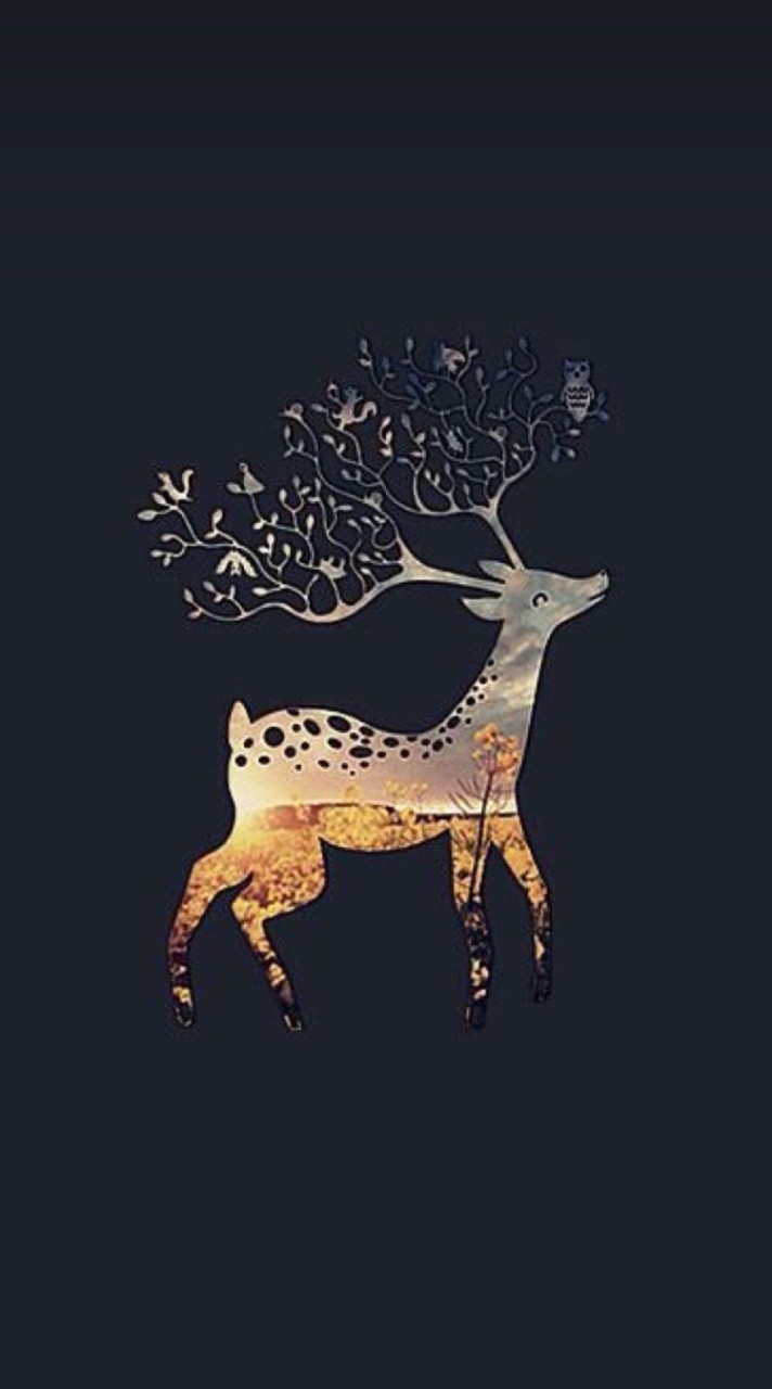 🦌🦌麋(迷）鹿中繼站🚉