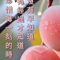 家族聯絡社