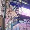 .RP: 【GACHA CITY เมืองกาชา // ซากุระโนมิ . °🌸