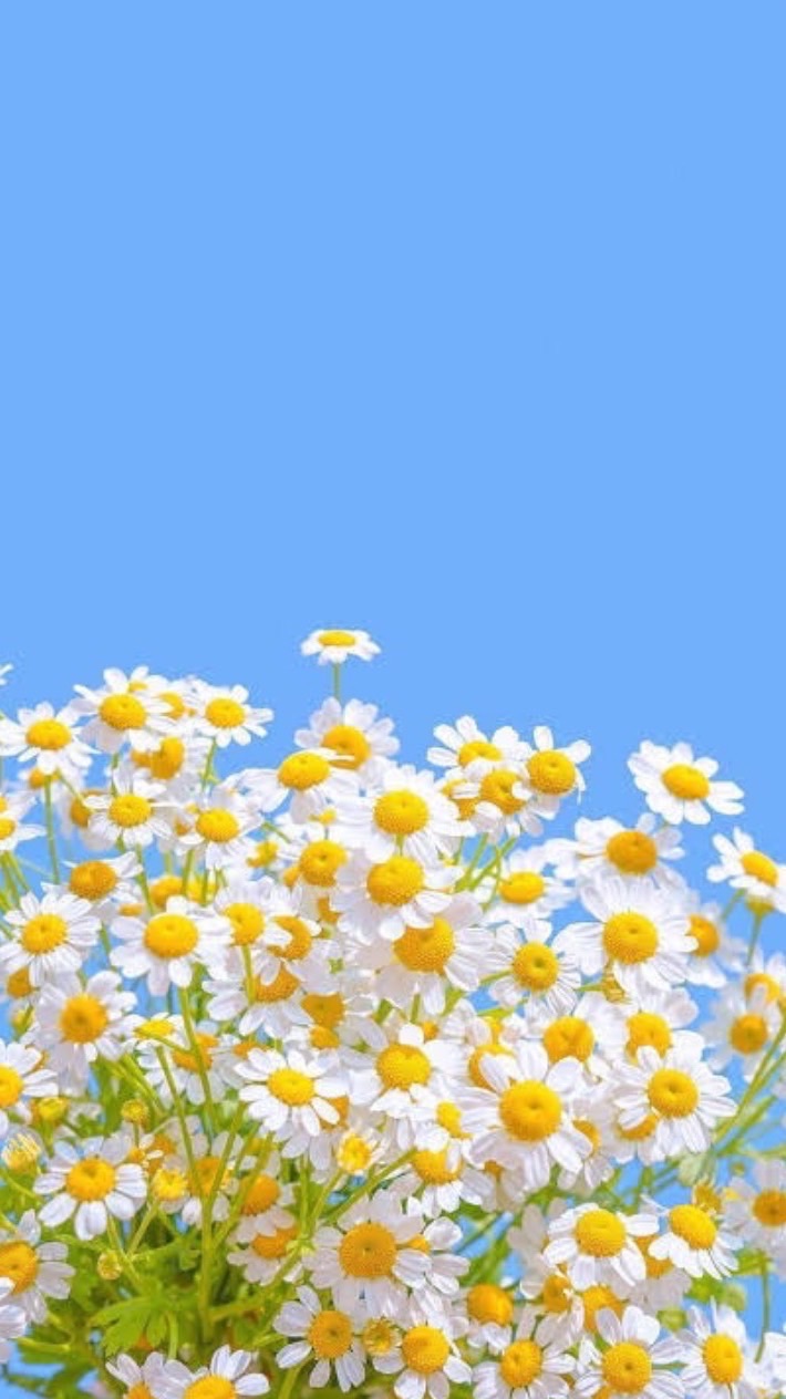 หาเพื่อน/ให้คำปรึกษา