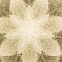 宣伝禁止⚠️【副業•お小遣い稼ぎ案件総合案内所】