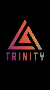Twinity