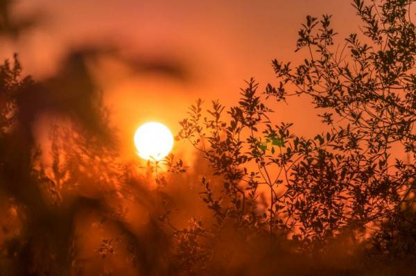 Matahari Buatan Terbesar di Dunia Dikembangkan, Bakal Digunakan untuk Apa Saja Ya?